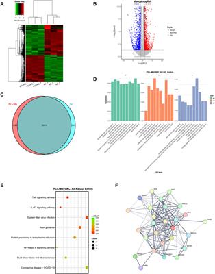 3D-printed Mg-incorporated PCL-based scaffolds improves rotator cuff tendon-bone healing through regulating macrophage polarization